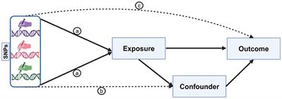 A Mendelian randomization analysis of inflammatory skin disease risk due to mineral deficiencies